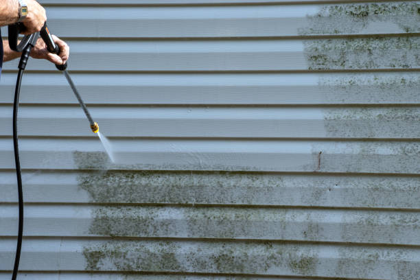 Affordable siding repair and maintenance services in Wartburg, TN